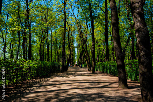 Gardens and parks of St. Petersburg on a summer sunny day. © eskstock