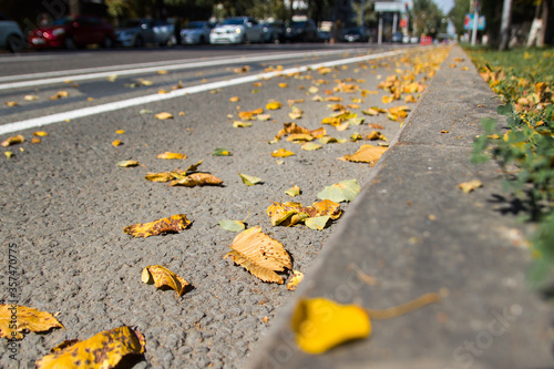 Yellow fallen leaves on asphalt. Golden autumn street. Last sunny day weather. Beautiful comfortable safety City life.