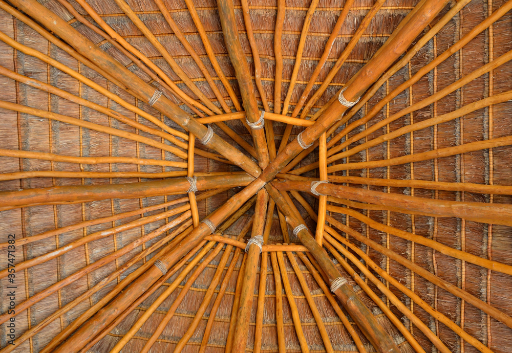 Palm tree roof