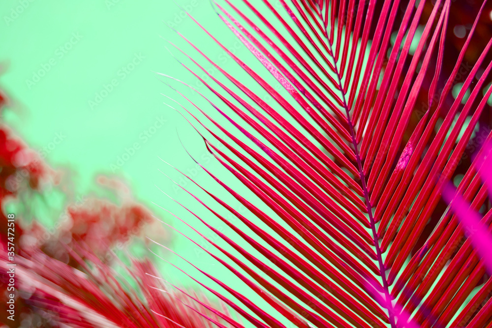custom made wallpaper toronto digitalAbstract background with red decorative palm trees