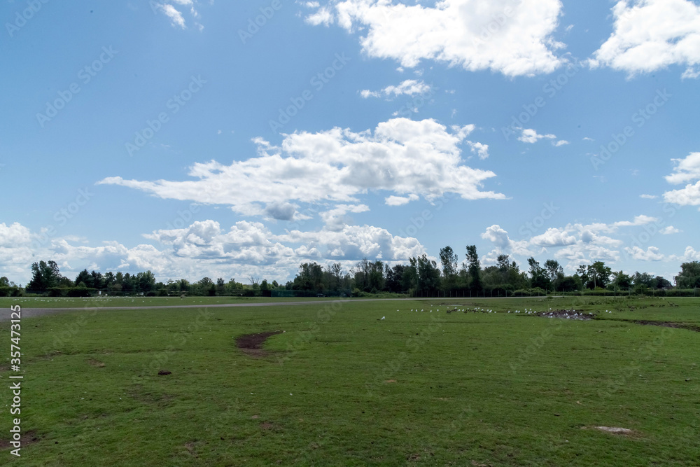 Fototapeta premium Lush green landscape under cloudy sky