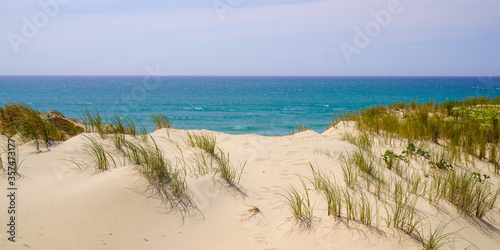 Fototapeta Naklejka Na Ścianę i Meble -  sandy natural beach with dunes of Le Porge near Lacanau in France