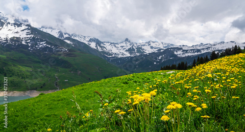 Spring landscape with flowers meadow and mountains. Panoramic view of idyllic mountain scenery in the Alps with fresh green meadows in bloom on a beautiful sunny day in springtime.
