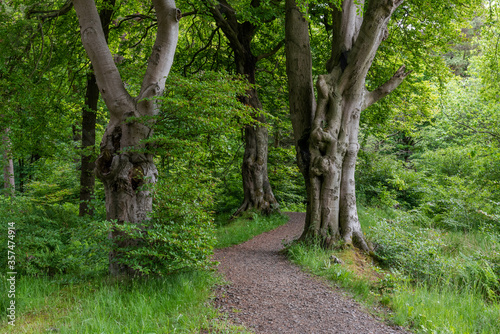Polkemmet country park