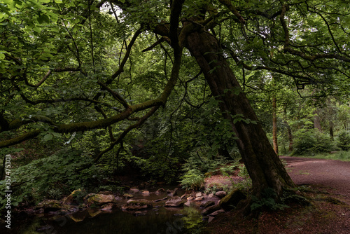 Polkemmet country park © Martynas