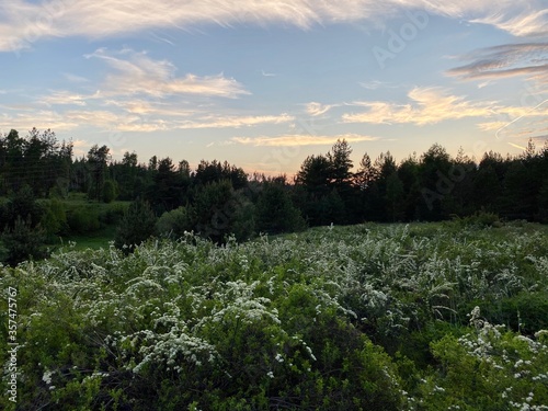 sunset in the mountains