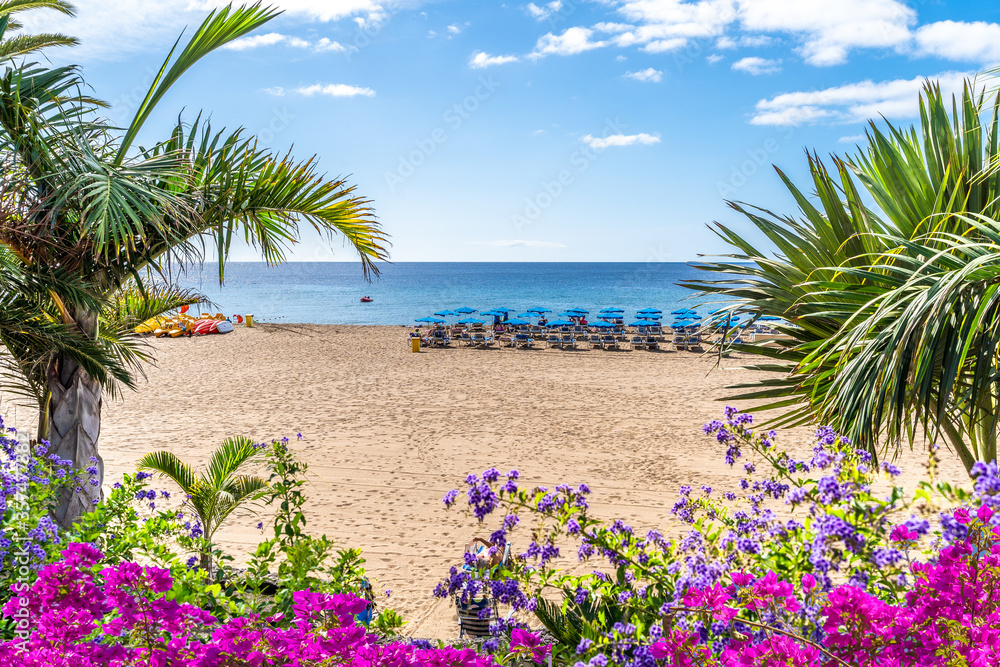 Landscape with Puerto del Carmen beach, Lanzarote, Canary Islands, Spain