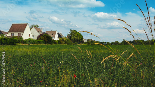 landscape field next to houses photo