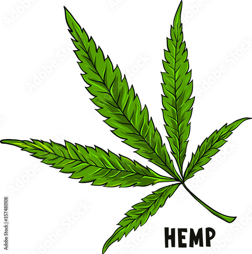 Beautiful hemp illustration. Cartoon cannabis on white background. Organic natural leaf picture