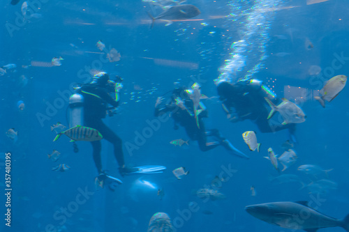 Underwater photographers on scuba dives. Divers with camera surrounded by a large number of fish in the huge aquarium. Sanya, Hainan, China. © Evgeniy