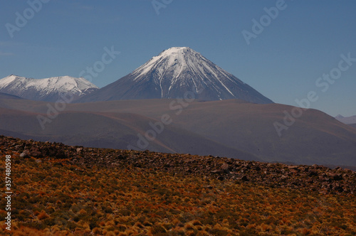 San Pedro de Atacama Chile Llamas Alpacas Vicuñas Volcan Licancabur