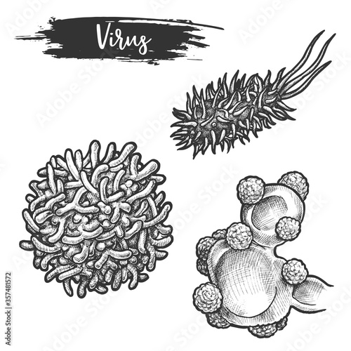 Set of isolated sketches of rabies virus, herpes