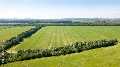 bird's-eye view of a green field