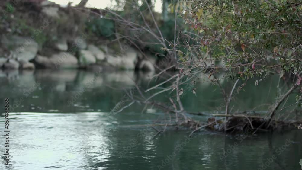 Nature is his beauty