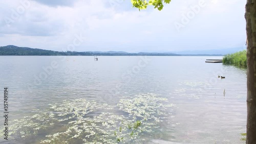 Lake Varese, Italy. Ducks and Views of Schiranna and Gavirate areas.