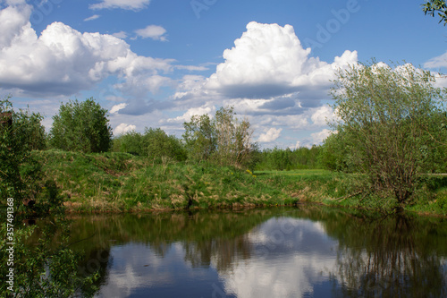 summer landscape on the lake