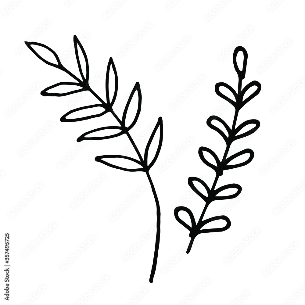 Branch with leaves on white background vector illustration. Doodle style. Design icon, print, logo, poster, symbol, decor, textile, paper, card.