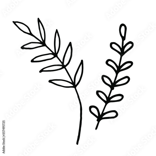 Branch with leaves on white background vector illustration. Doodle style. Design icon  print  logo  poster  symbol  decor  textile  paper  card.