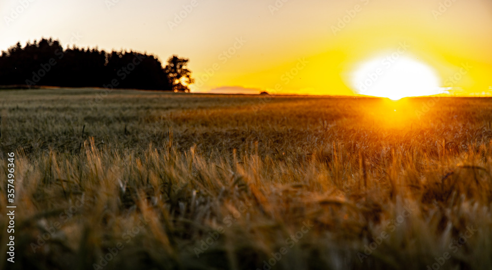 Sonnenuntergang über den Ackerfeldern in Deutschland, Getreidefeld