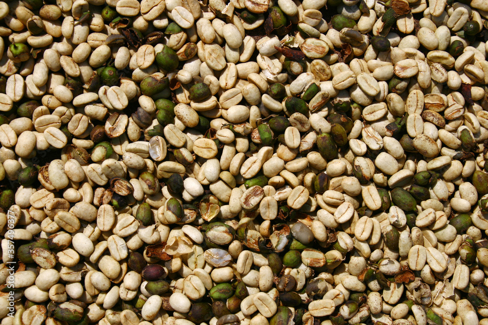 Green and beige peeled raw coffee beans Green and beige peeled raw coffee beans