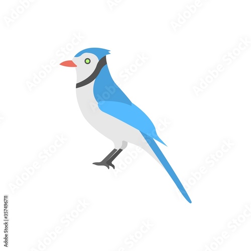 Bluebird icon in flat design style. Blue jay or bird of spring. photo