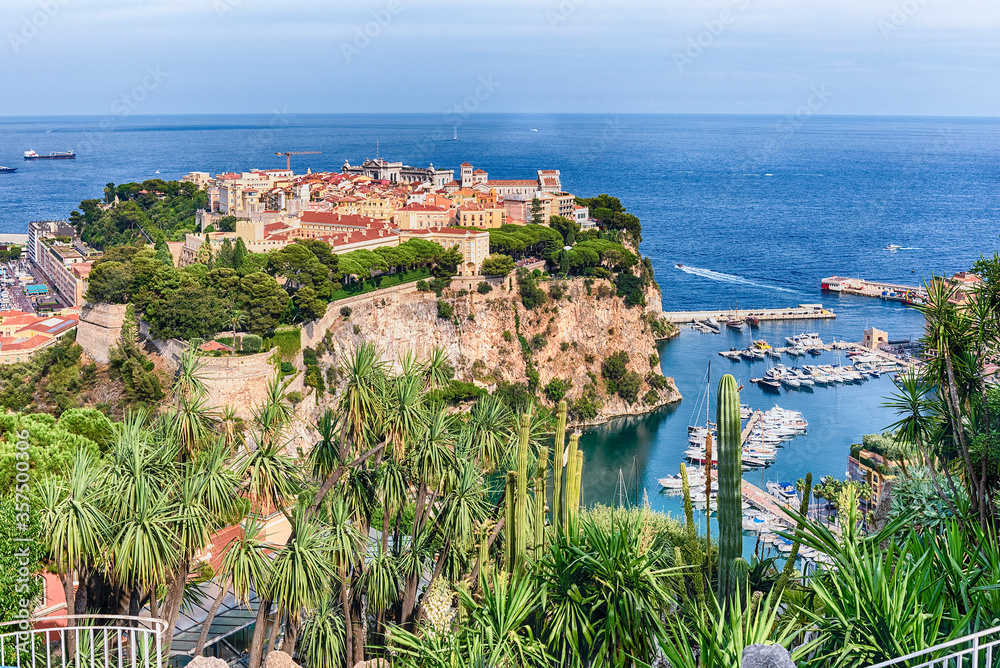 Panoramic view of Monaco City and the port of Fontvieille