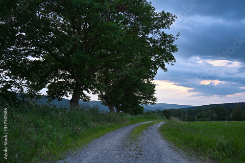 Feldweg durch Natur in l  ndlicher Gegend mit gr  nen Wiesen und B  umen