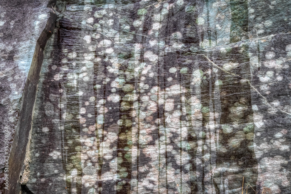 Fototapeta premium Rock face