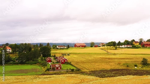 Aerial drone view of the combine harvester in Norway wheat fields. Aerial view of wheat fields on the Norwegian plains.