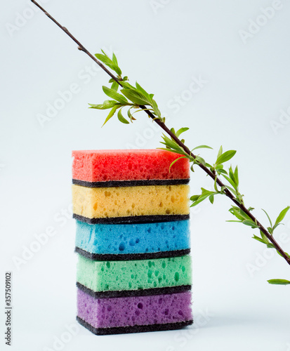 Colorful dishwashing sponges with blooming twig on light background