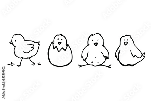 vector set of cute cartoon hand-drawn little chickens. isolated on a white background. bird doodle icons.