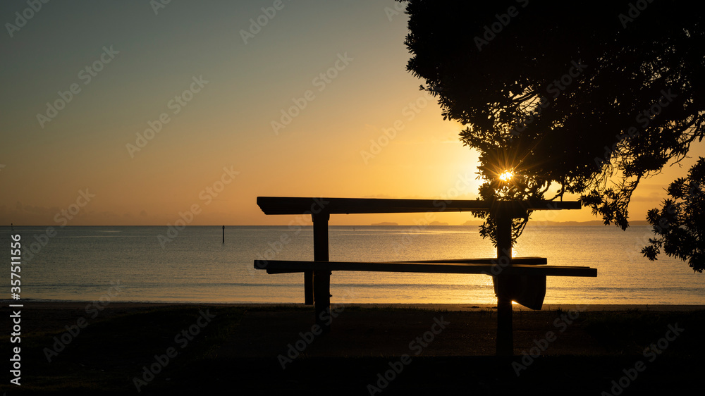 Silhouette empty bench by the beach and morning sun shining through the Pohutukawa tree