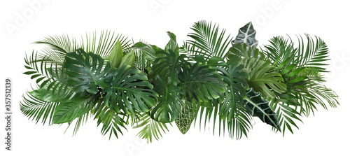 Different fresh tropical leaves on white background. Banner design photo