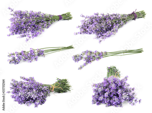 Fototapeta Naklejka Na Ścianę i Meble -  Set of beautiful tender lavender flowers on white background