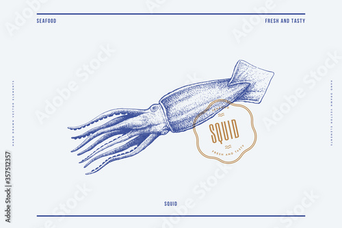 Hand-drawn image of a large squid on a light background. Retro picture for the menu of fish restaurants, markets, and shops. Vector illustration in vintage engraving style.