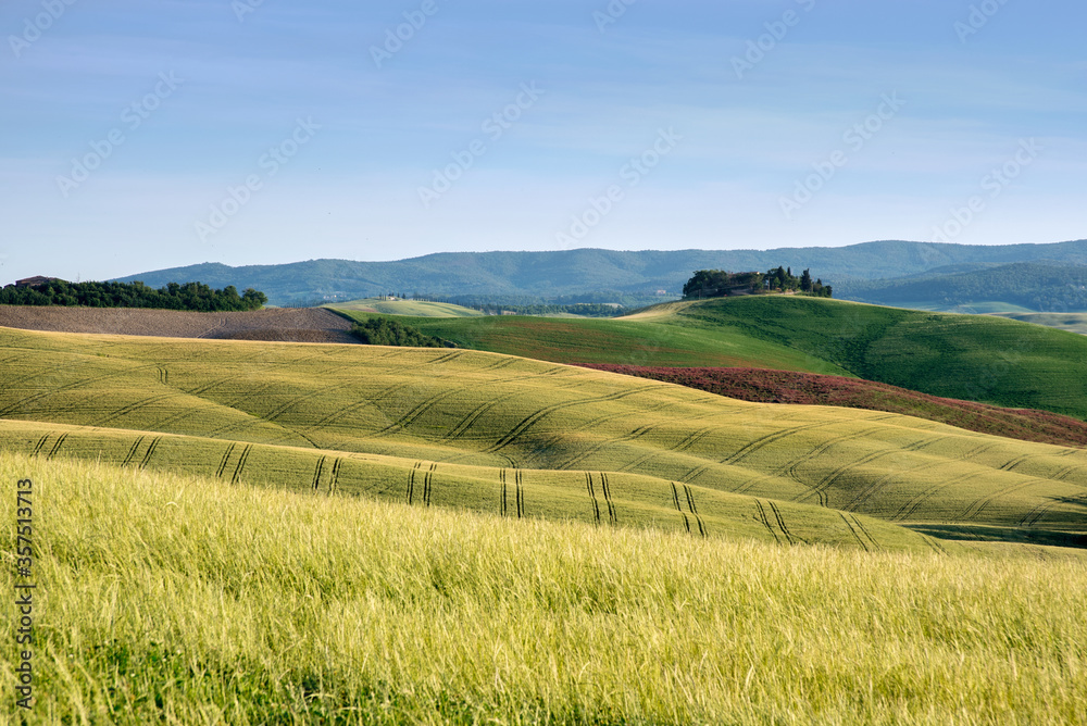 Beautiful  colorful Tuscan landscape at spring