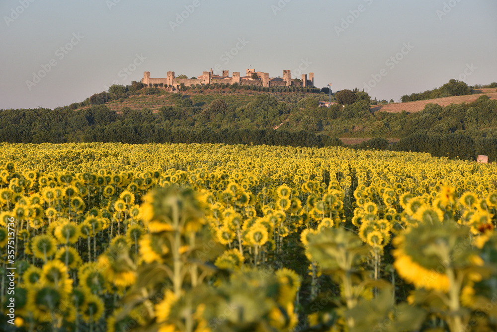 Fototapeta premium Panoramic view of the medieval Tuscan town Monteriggioni