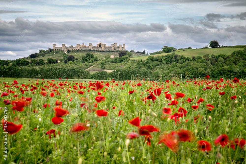 Naklejka premium Panoramic view of the medieval Tuscan town Monteriggioni
