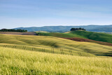 Beautiful  colorful Tuscan landscape at spring