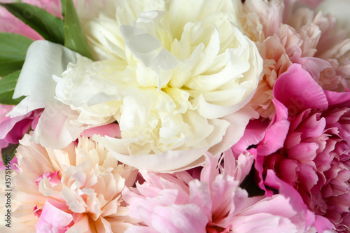 Fototapeta Naklejka Na Ścianę i Meble -  Closeup view of beautiful fragrant peony flowers