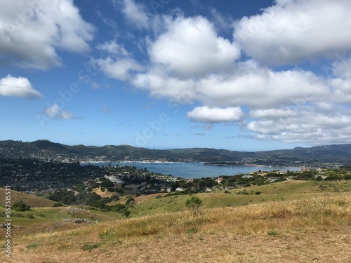 Tiburon Park view of the Bay Area