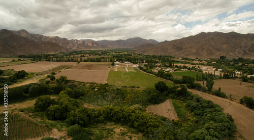 Agriculture. Rural scenic. Aerial view of the vineyards very high in the mountains. 