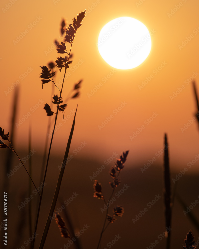 Obraz premium 北海道北広島市郊外の日の出（Sunrise in the suburbs of Kitahiroshima City, Hokkaido）