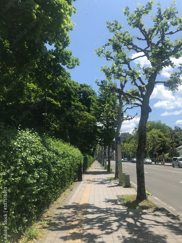 夏の街道