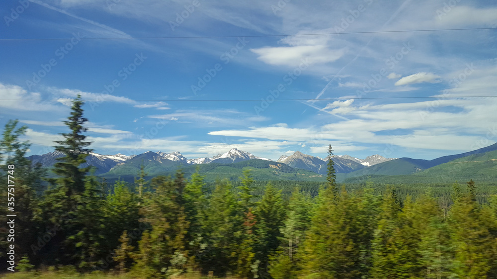 Forest in the Rocky Mountains with dense trees Forest in the Rocky Mountains with dense trees