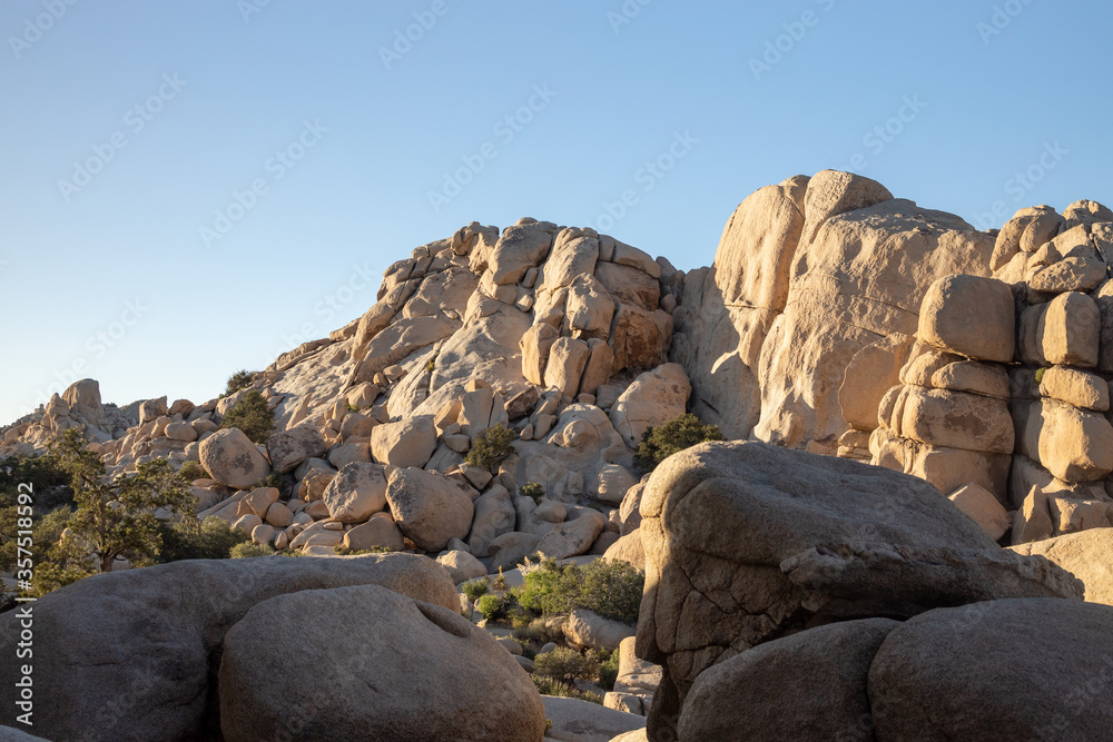 Desert Landscape of Mountains and Trees in Joshua Tree National Park California Desert Landscape of Mountains and Trees in Joshua Tree National Park California