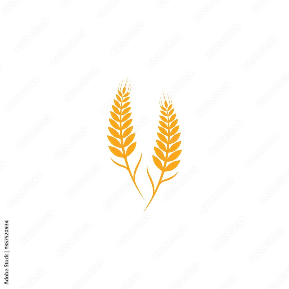 Agriculture wheat Logo Template vector icon Agriculture wheat Logo Template vector icon
