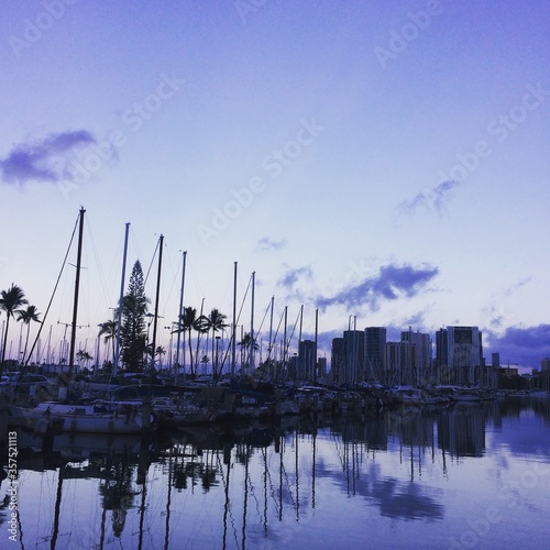 harbor in breaking Dawn 