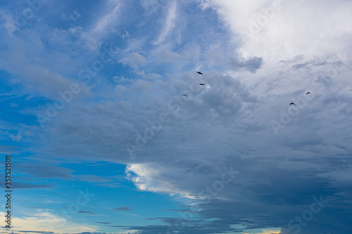 CLOUDS NUBES RARAS COLOR 