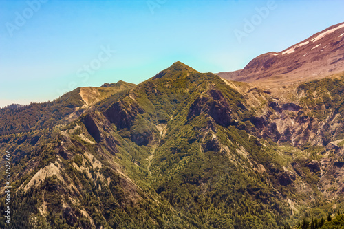 Rock outcrop of regrowth below Mt St Helens